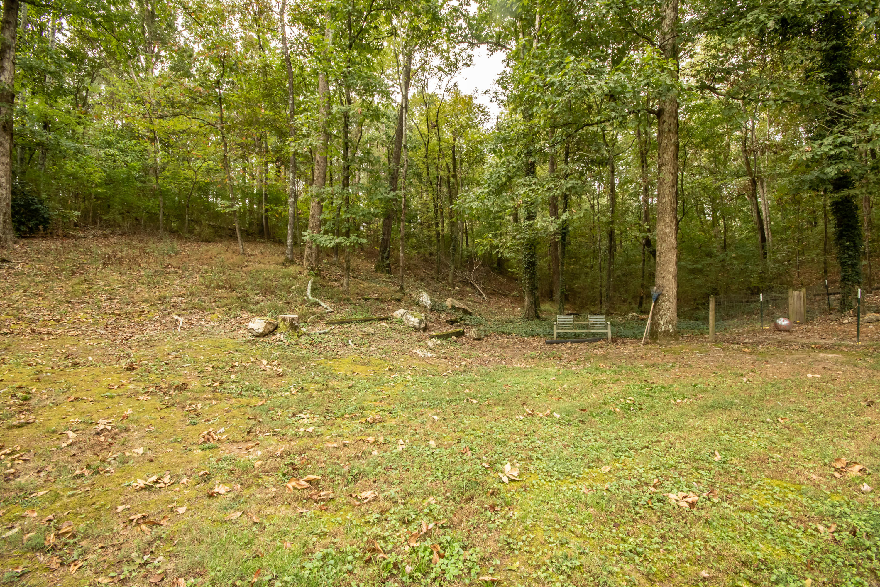 251 Forest Hill Road Southwest Dalton, GA 30720 - Photo 49 of 49 275A7948
