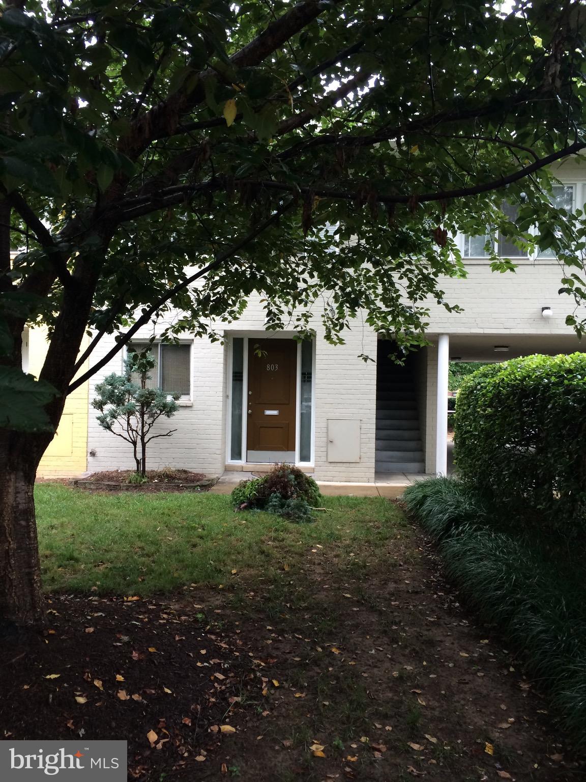 803 3rd Street Southwest, Unit 706 Washington, DC 20024 - Photo 1 of 18 a backyard of a house with plants and large tree