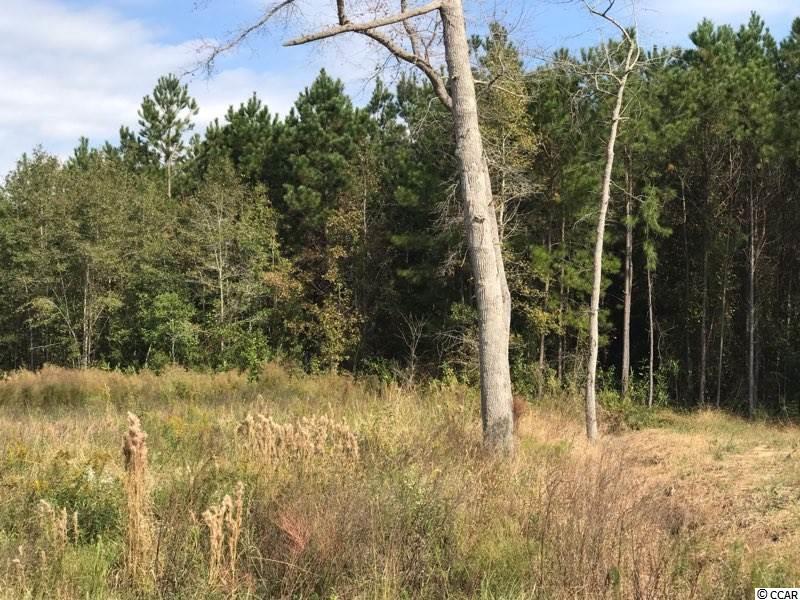 6.03-acs West Homewood Road Conway, SC 29526 - Photo 2 of 3 Gallery Image 2