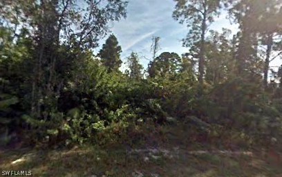 18201 Linden Road Fort Myers, FL 33967 - Photo 1 of 1 a view of a forest