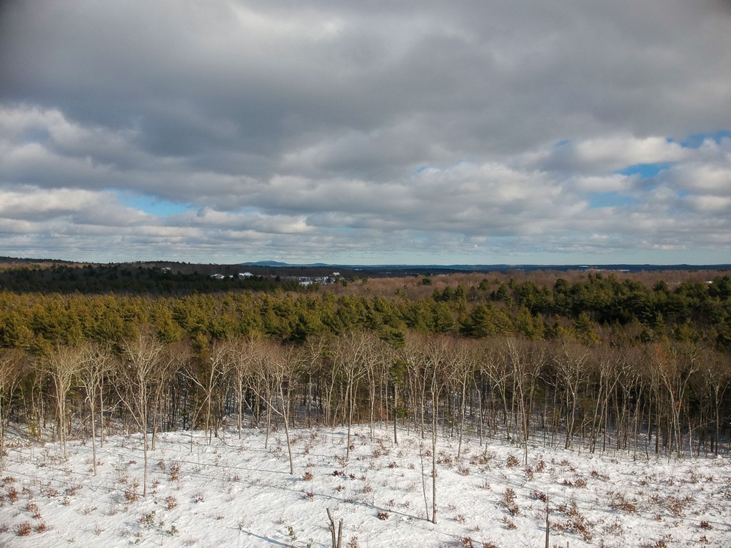 Lot 12 Jackson Road Hardwick, MA 01037 - Photo 5 of 20 Gallery Image 5