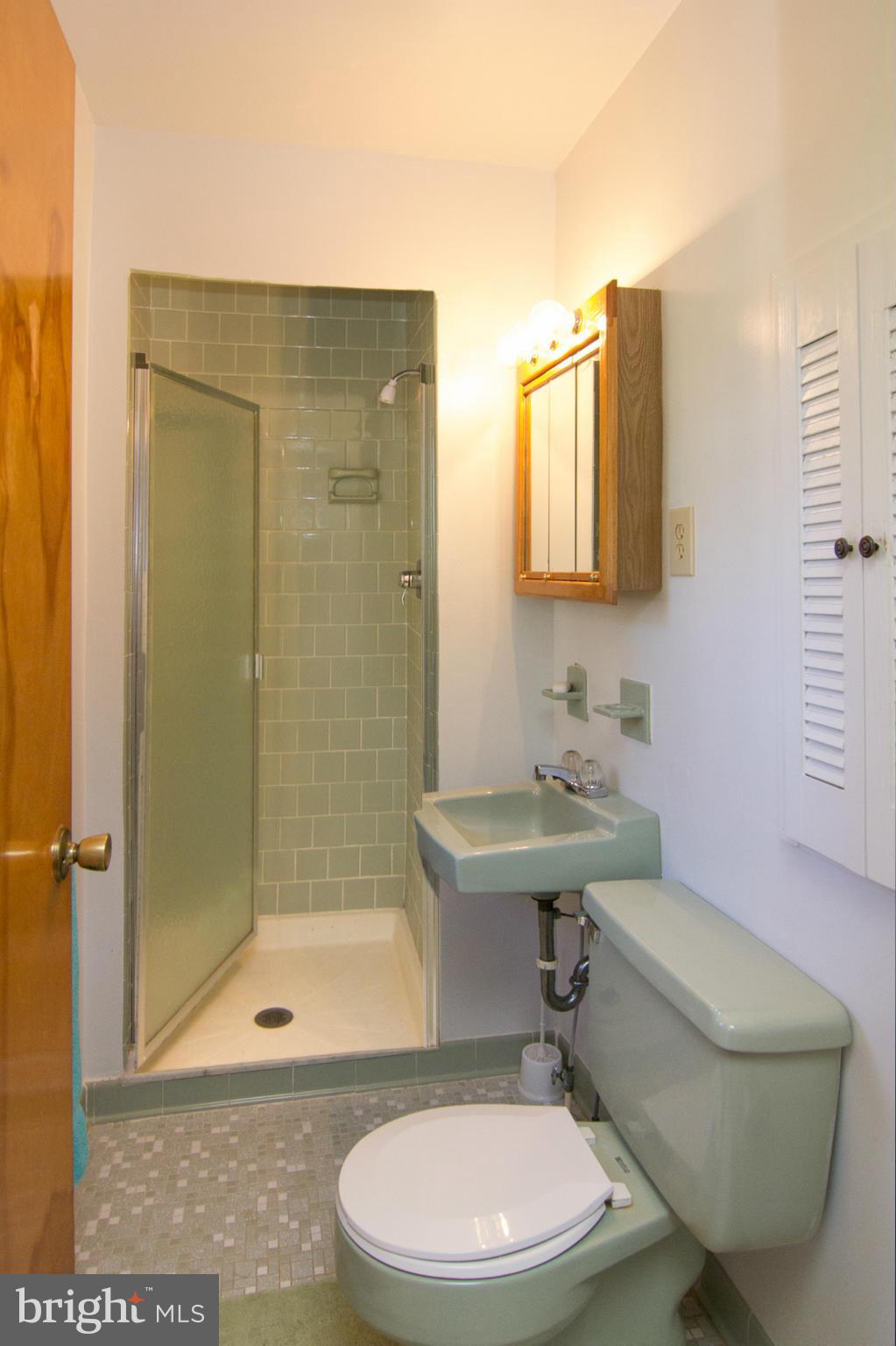 2514 Neudecker Road Westminster, MD 21157 - Photo 12 of 30 a bathroom with a sink a toilet and shower