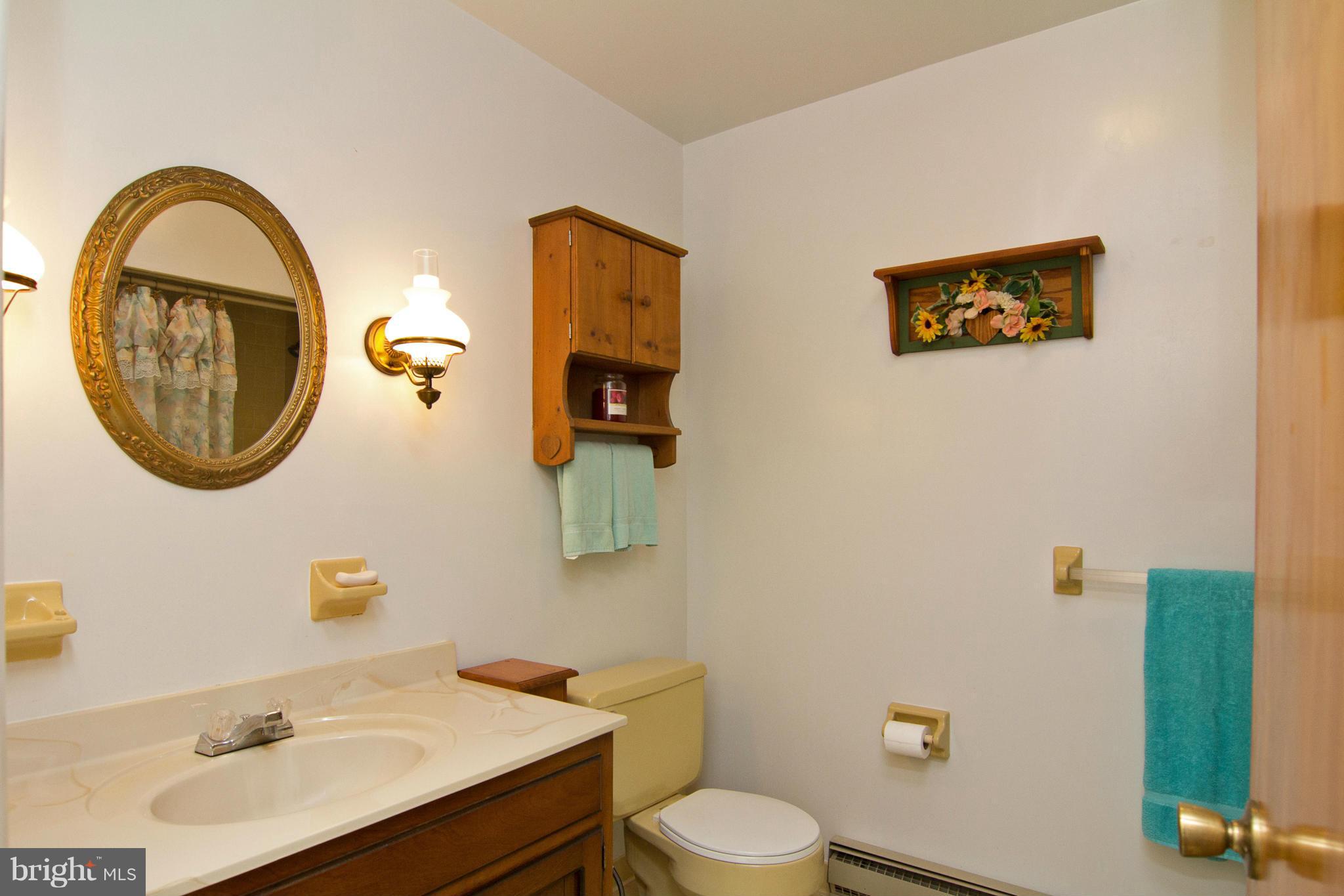 2514 Neudecker Road Westminster, MD 21157 - Photo 15 of 30 a bathroom with a sink mirror and toilet