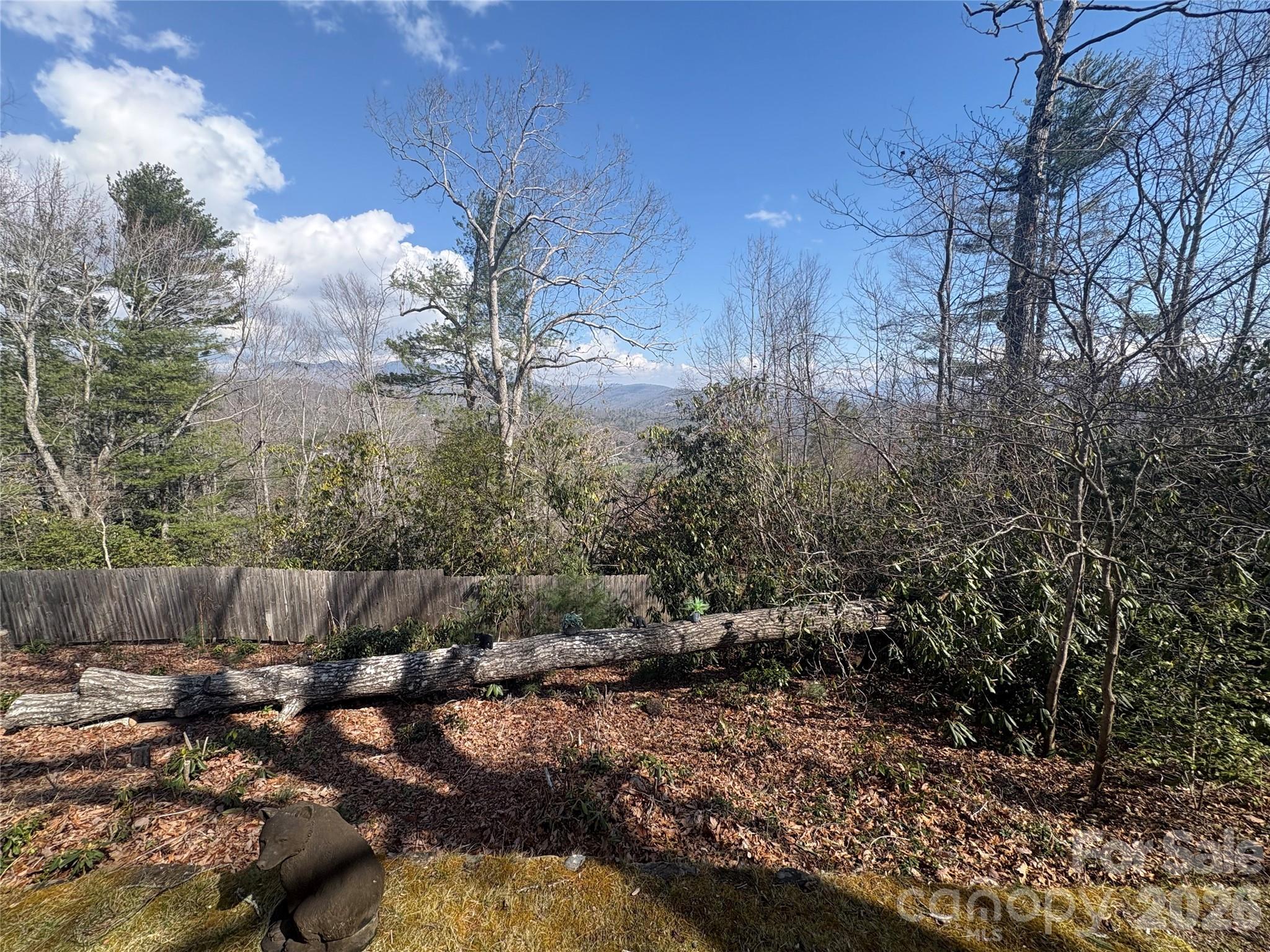 126 Ridgeview Road Spruce Pine, NC 28777 - Photo 39 of 39