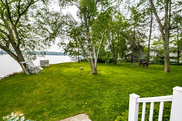 a view of a garden with a tree