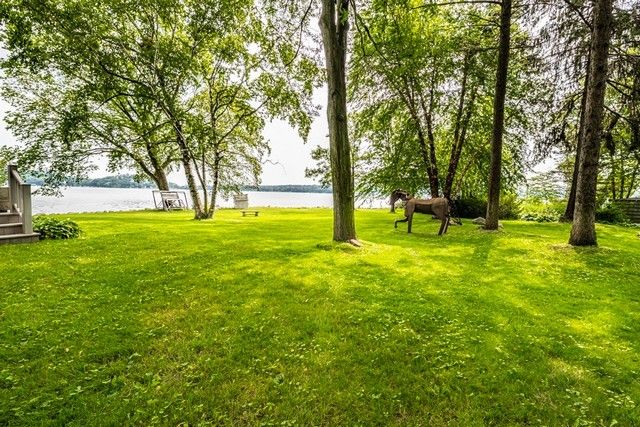 a view of a tree in a yard