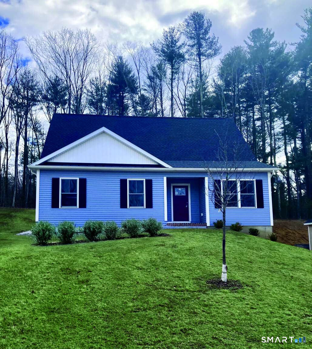 a front view of house with yard and green space