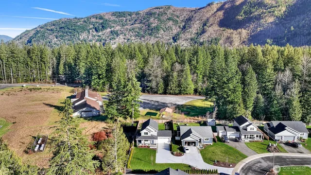 a view of a lot of trees and houses