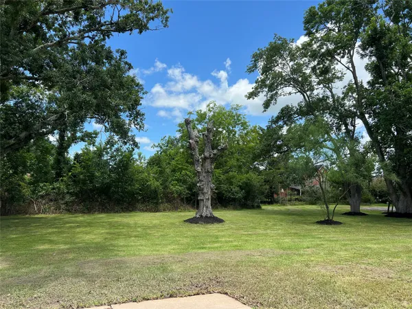 a view of a trees with a yard