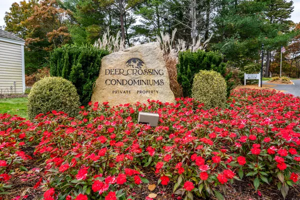 a picture of flowers