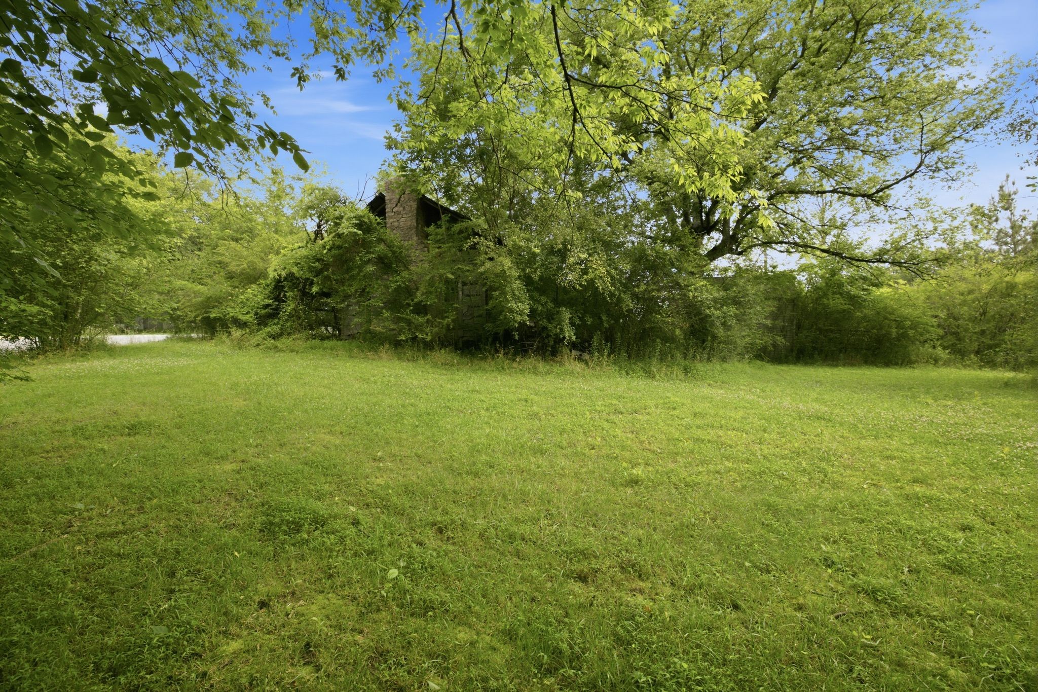 1405 Trace Creek Road Hohenwald, TN 38462 - Photo 47 of 52
