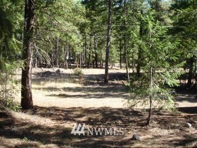 30 Doe Road Mazama, WA 98833 - Photo 1 of 1 Gallery Image 1