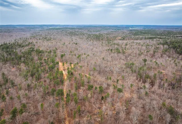 $4,880,000 | 11467 Havenwood Road, Potosi, MO 63664