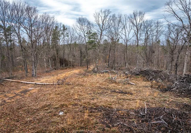 $4,880,000 | 11467 Havenwood Road, Potosi, MO 63664