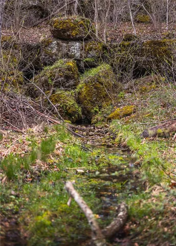 $4,880,000 | 11467 Havenwood Road, Potosi, MO 63664