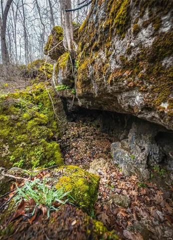 $4,880,000 | 11467 Havenwood Road, Potosi, MO 63664