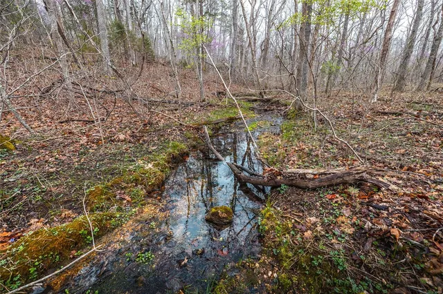 $4,880,000 | 11467 Havenwood Road, Potosi, MO 63664