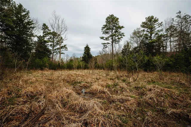 $4,880,000 | 11467 Havenwood Road, Potosi, MO 63664