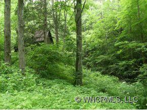 300 Willis Cove Road Erwin, TN 37650 - Photo 12 of 12 Gallery Image 12
