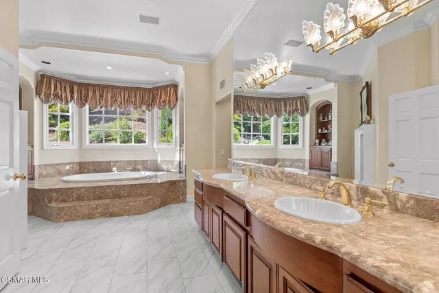 a view of a yard with plants and trees