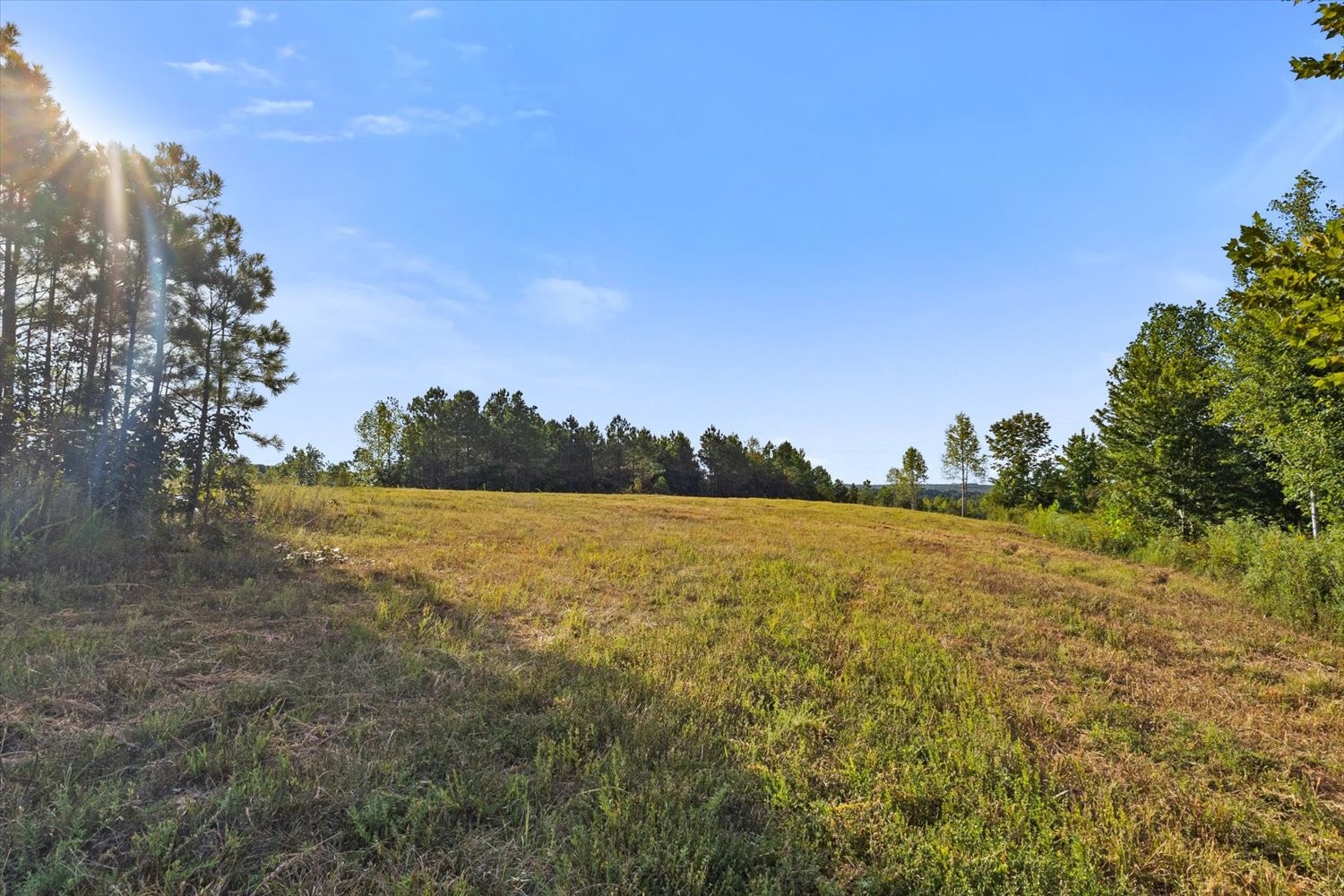 0 Kro Hollow Road Hohenwald, TN 38462 - Photo 13 of 35 Gallery Image 13