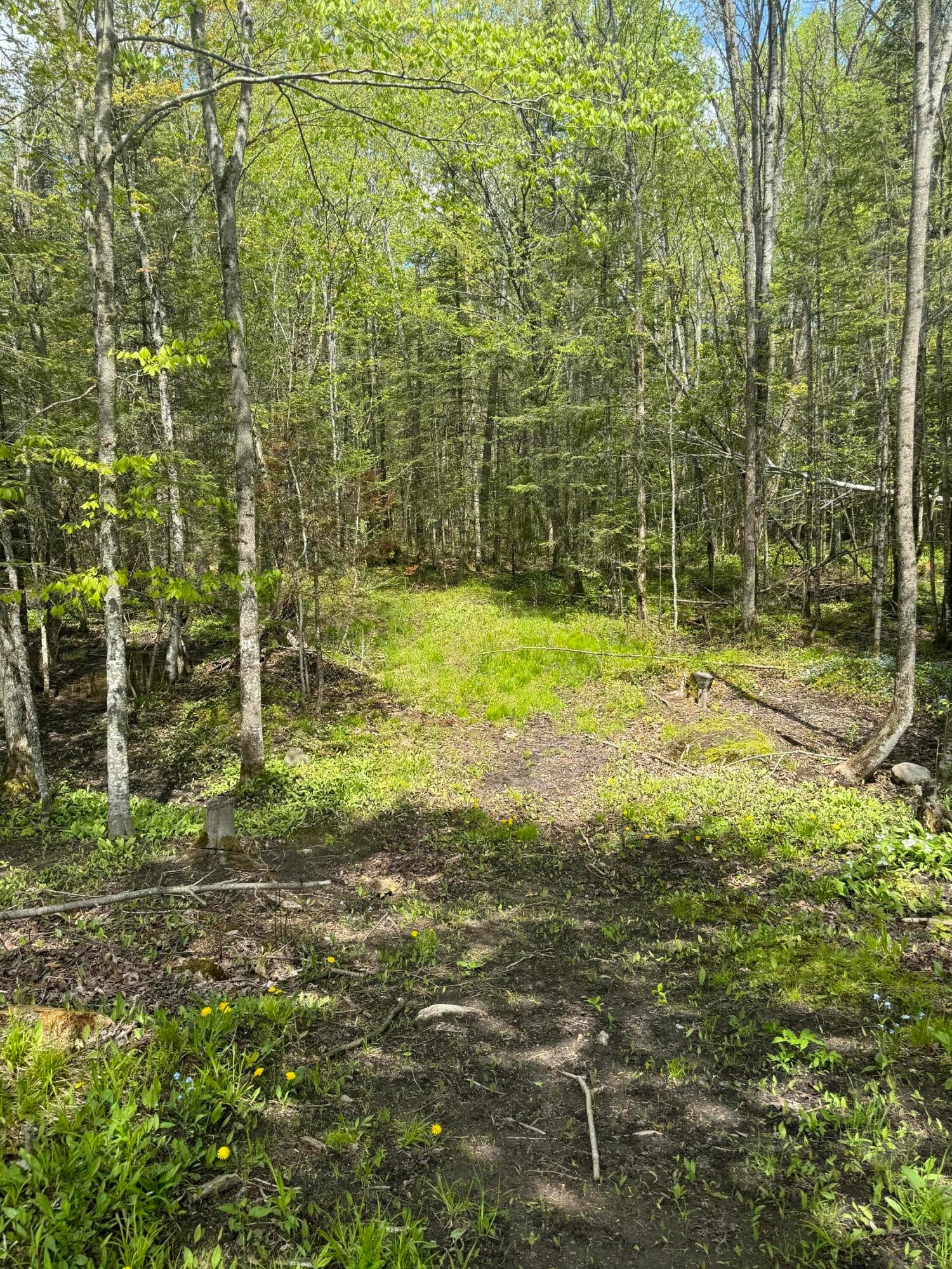 W19474 McGahn Road Germfask, MI 49836 - Photo 29 of 29 Gallery Image 29