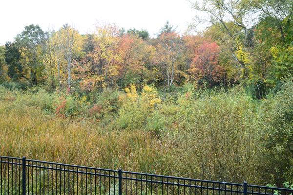 10 Towne Road Middleton, MA 01949 - Photo 27 of 30 a view of a green field