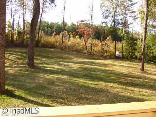 210 Link Road Reidsville, NC 27320 - Photo 2 of 7 Other. Wonderful backyard with new grass.