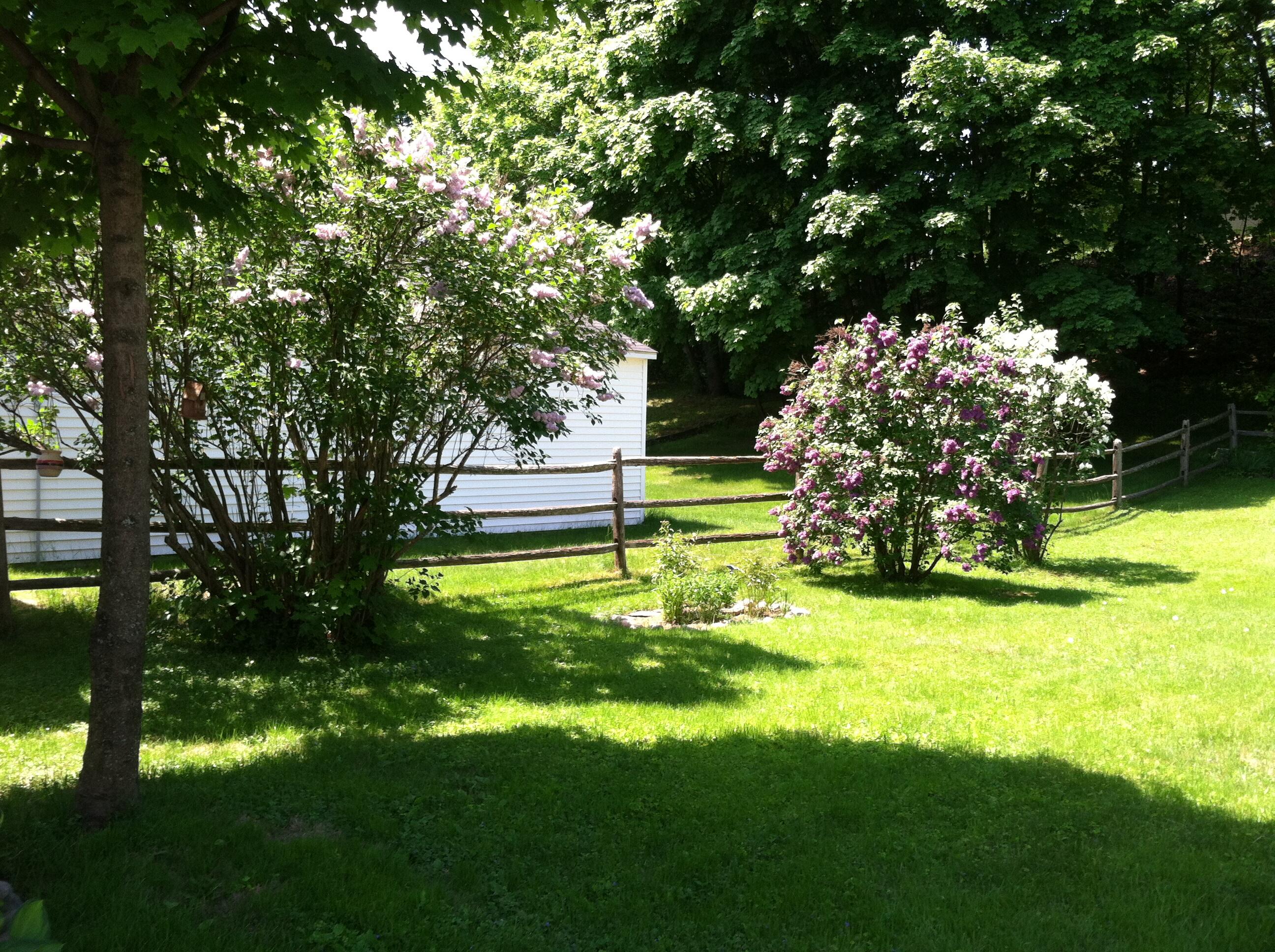 346 Penobscot Avenue Millinocket, ME 04462 - Photo 46 of 55 41