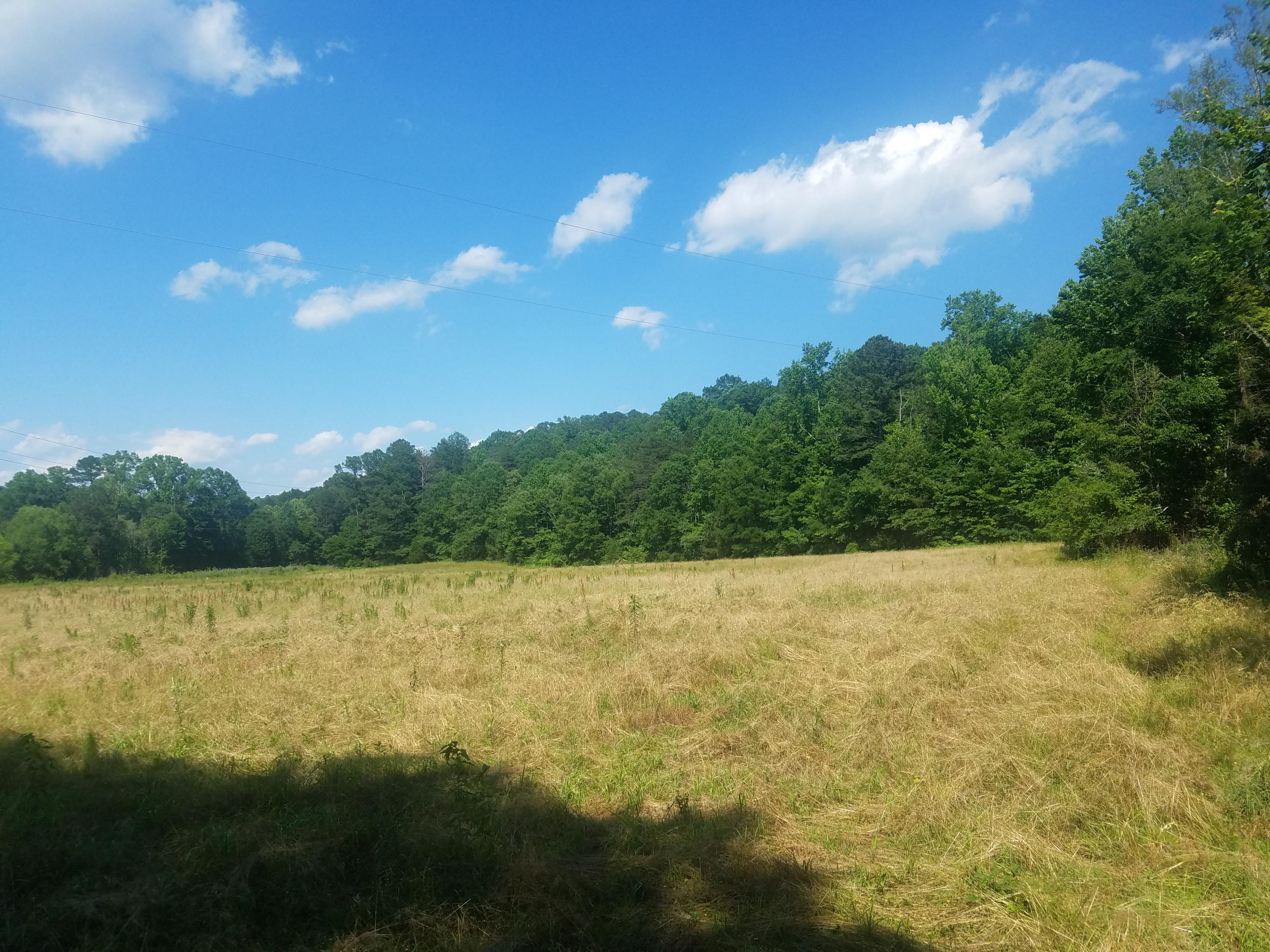 4 White Oak Valley Road Cleveland, TN 37312 - Photo 3 of 7 tract_4_5_white_oak_valley