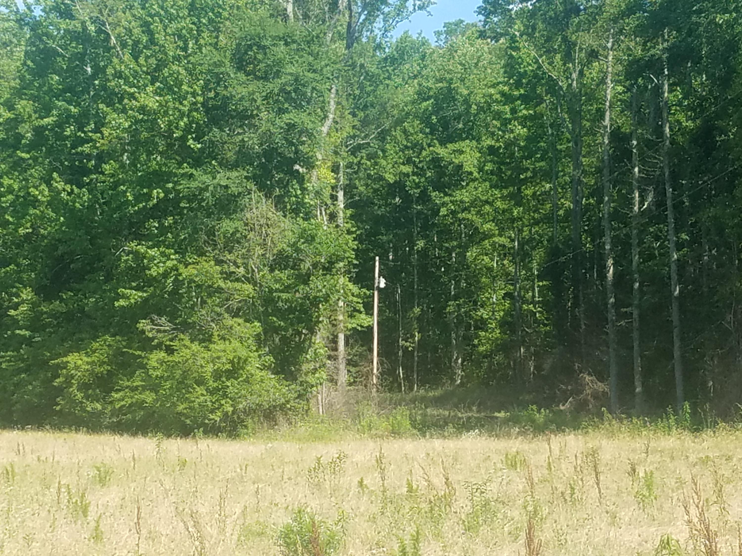 4 White Oak Valley Road Cleveland, TN 37312 - Photo 5 of 7 tract_4b_white_oak_valley