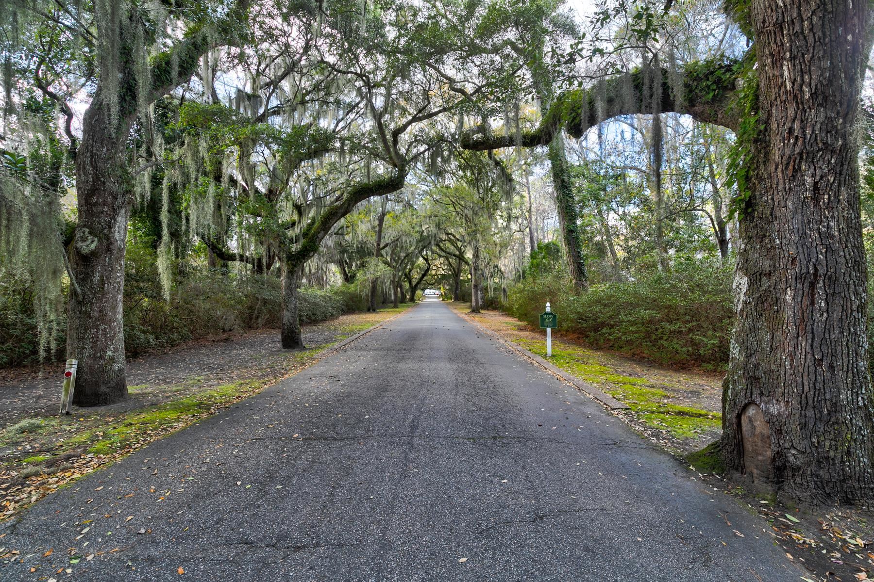 573 Tuckers Road, Unit A Pawleys Island, SC 29585 - Photo 46 of 55