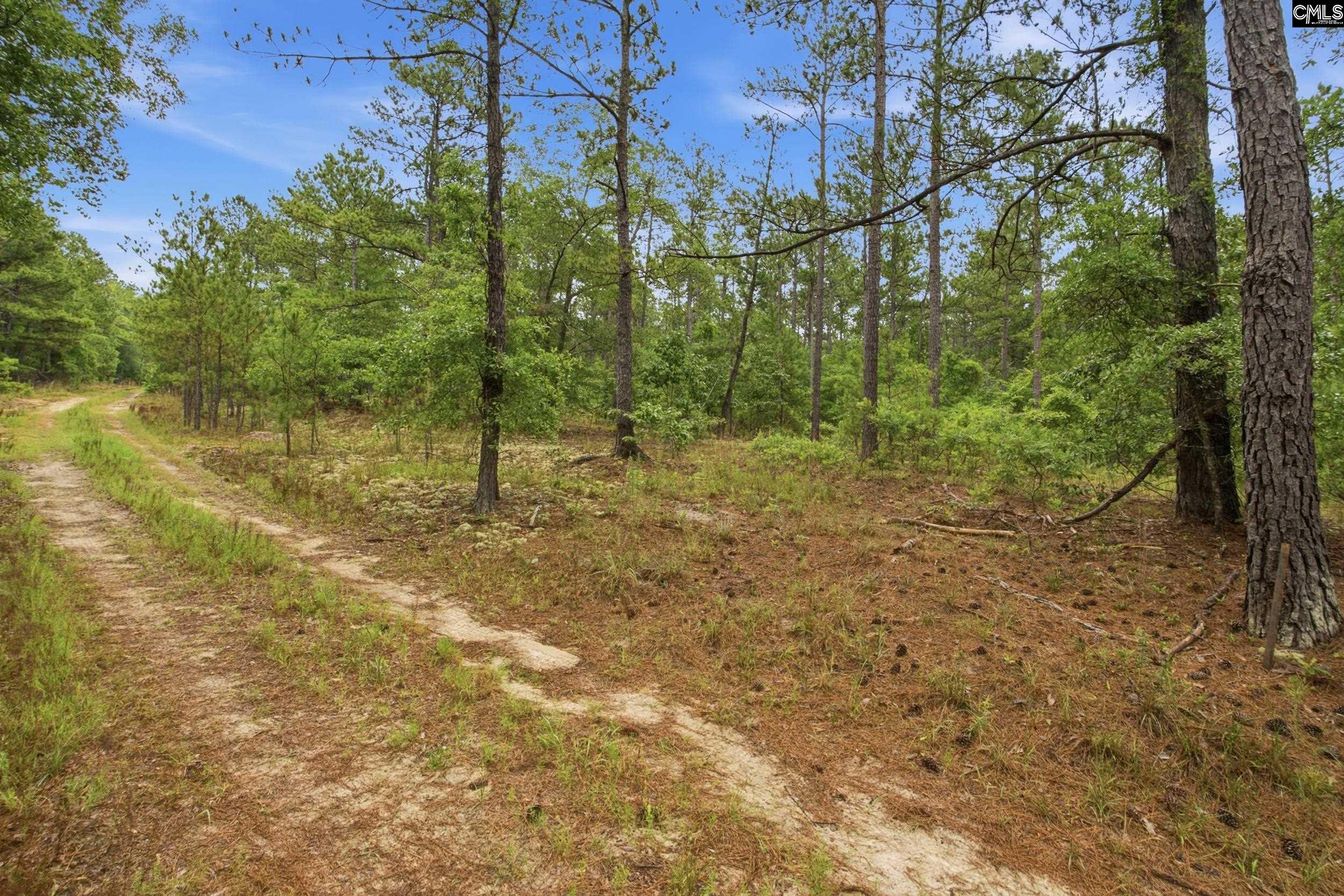 3390 State Rd S-28-496 Kershaw, SC 29067 - Photo 12 of 26