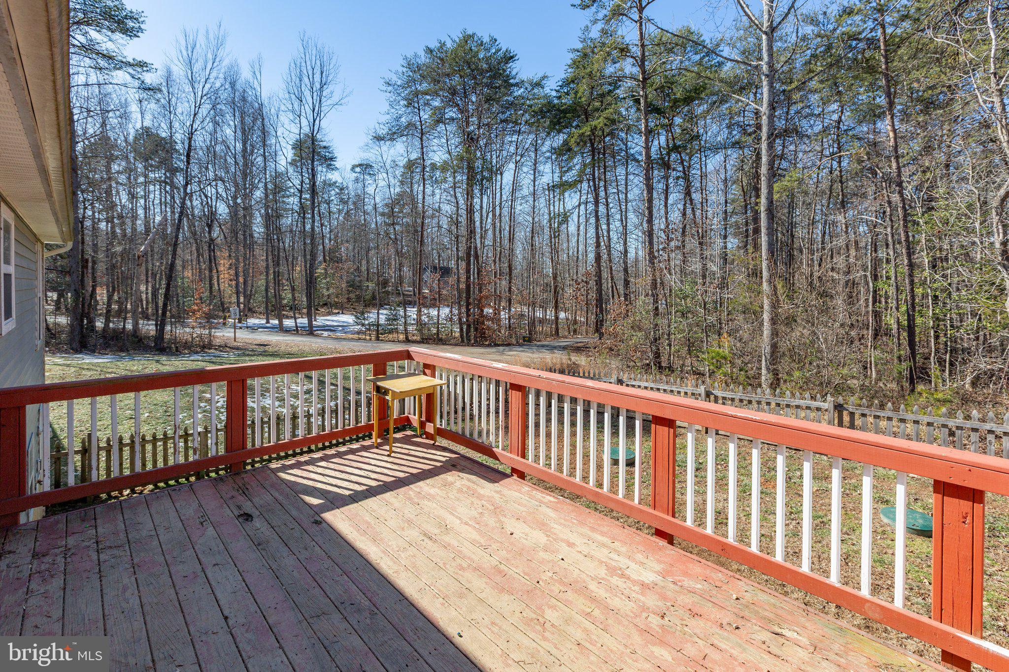 2906 Minor Road Bumpass, VA 23024 - Photo 38 of 48 Woods along back of property provide privacy