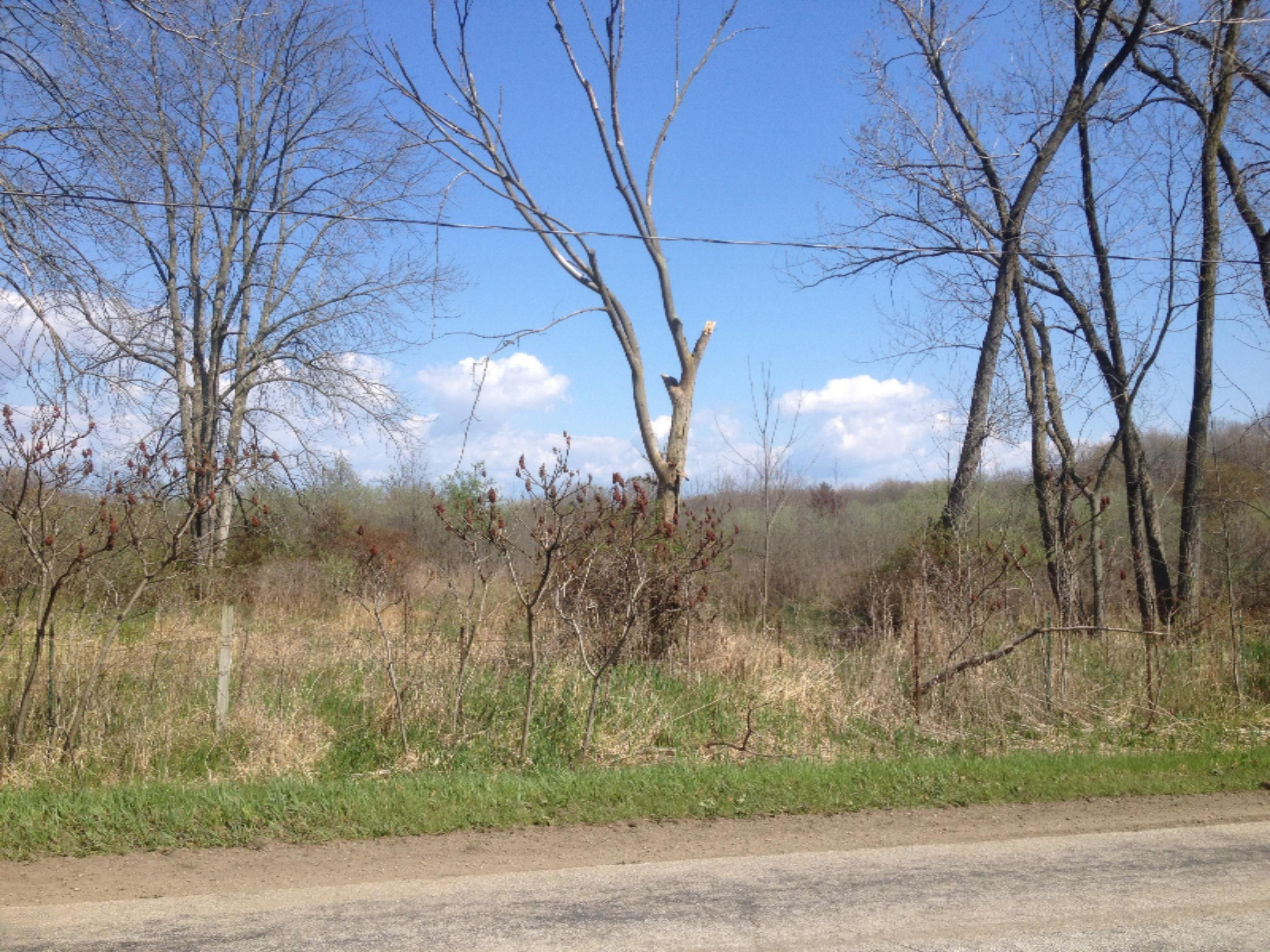 15450 148th Spring Lake Spring Lake, MI 49456 - Photo 5 of 8 visser pic6