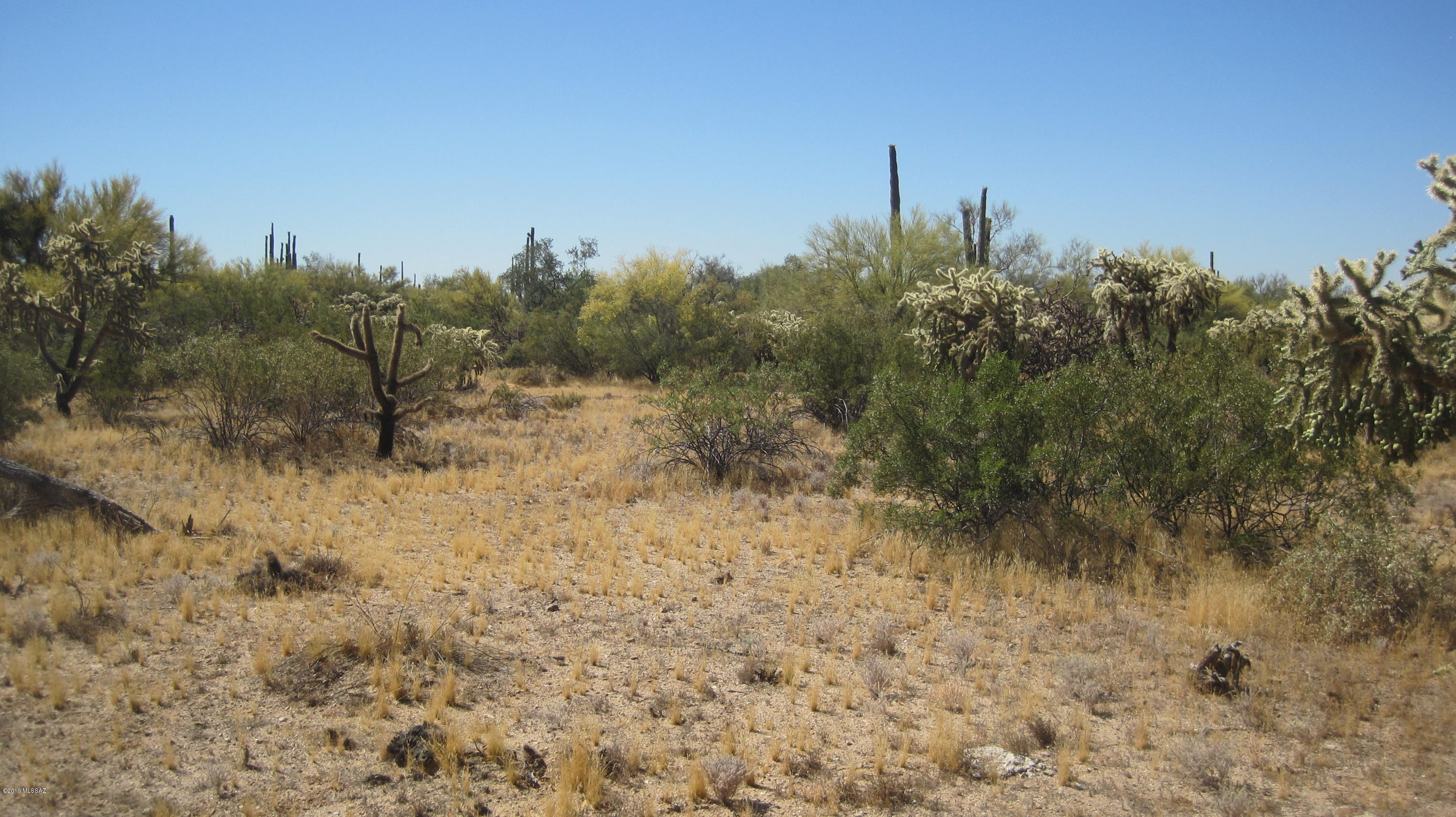 Oo South Cattle Tank Road, Unit 7 5 AC Marana, AZ 85658 - Photo 5 of 22