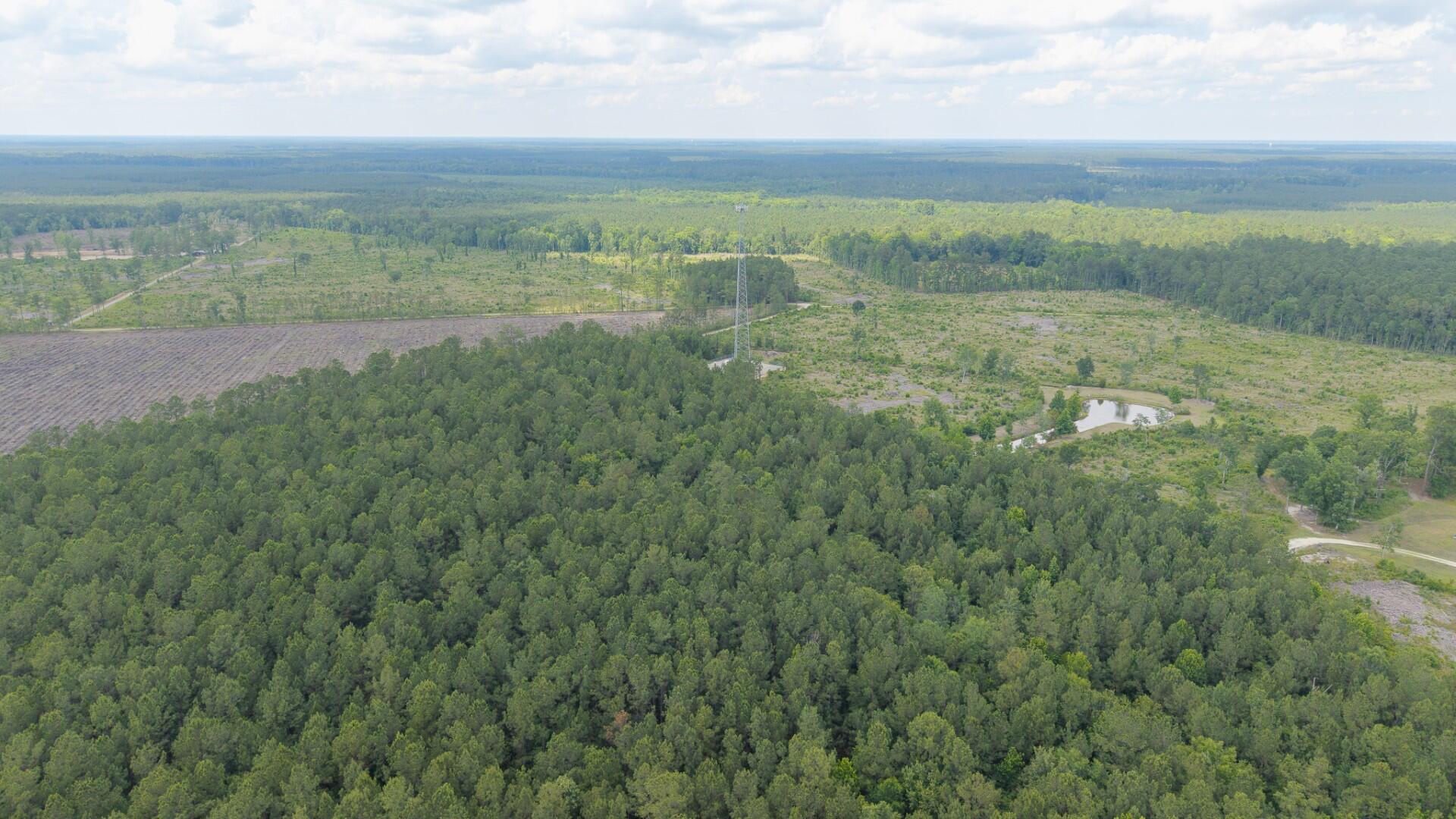 6222 Saints Delight Road, Unit LOT 8 Georgetown, SC 29440 - Photo 10 of 26