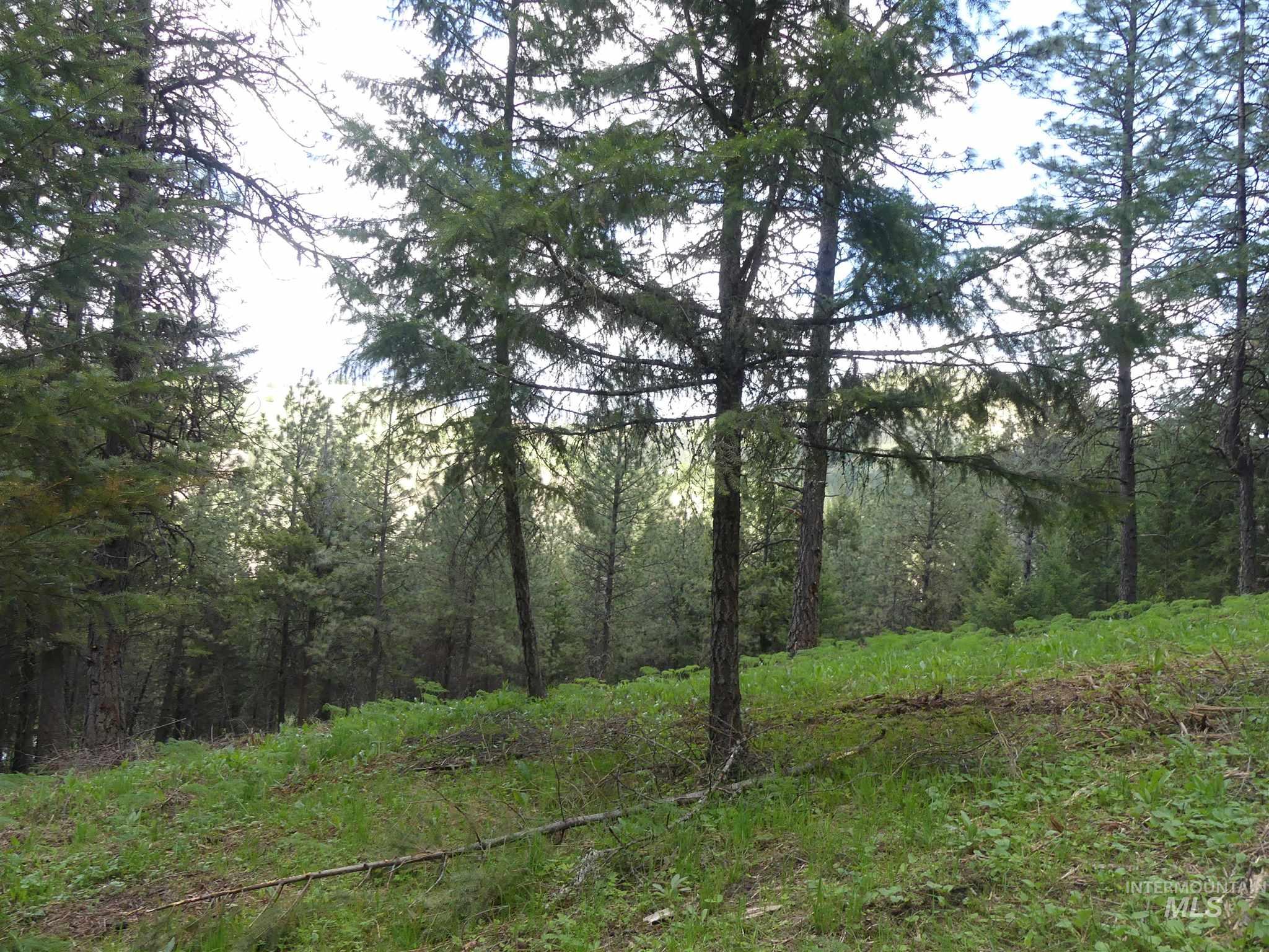 22743 Old Melrose Grade Road Peck, ID 83545 - Photo 36 of 45