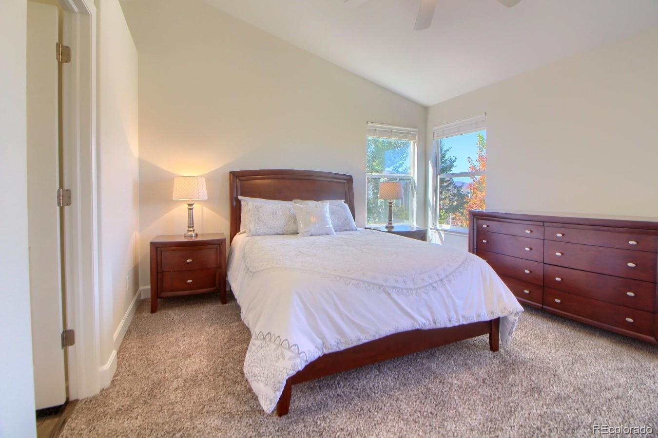 9305 Wolfe Street Highlands Ranch, CO 80129 - Photo 17 of 30 Gallery Image 17