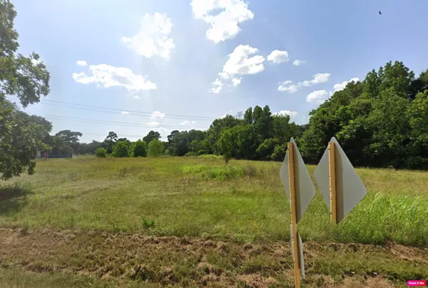 a view of a yard with palm trees
