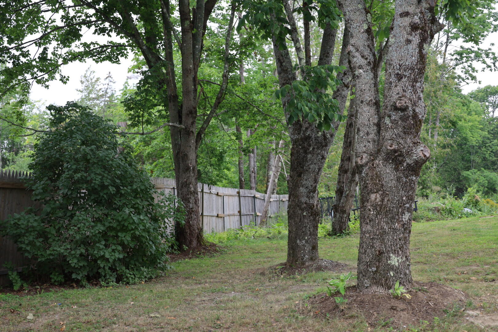75 Beech Grove Road Corinth, ME 04427 - Photo 28 of 30 Fence Side