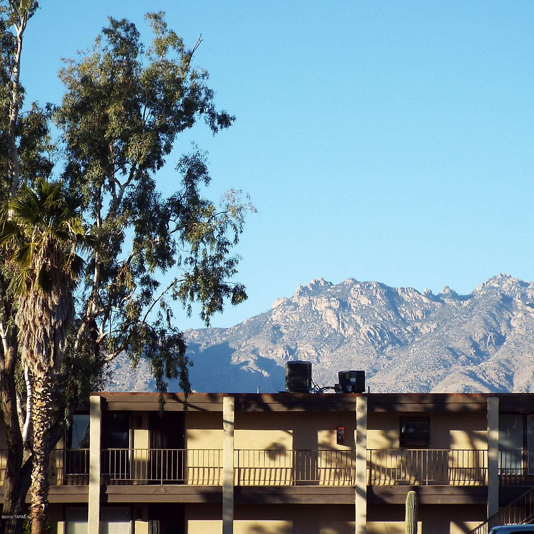 1620 North Wilmot Road, Unit P181 Tucson, AZ 85712 - Photo 13 of 15