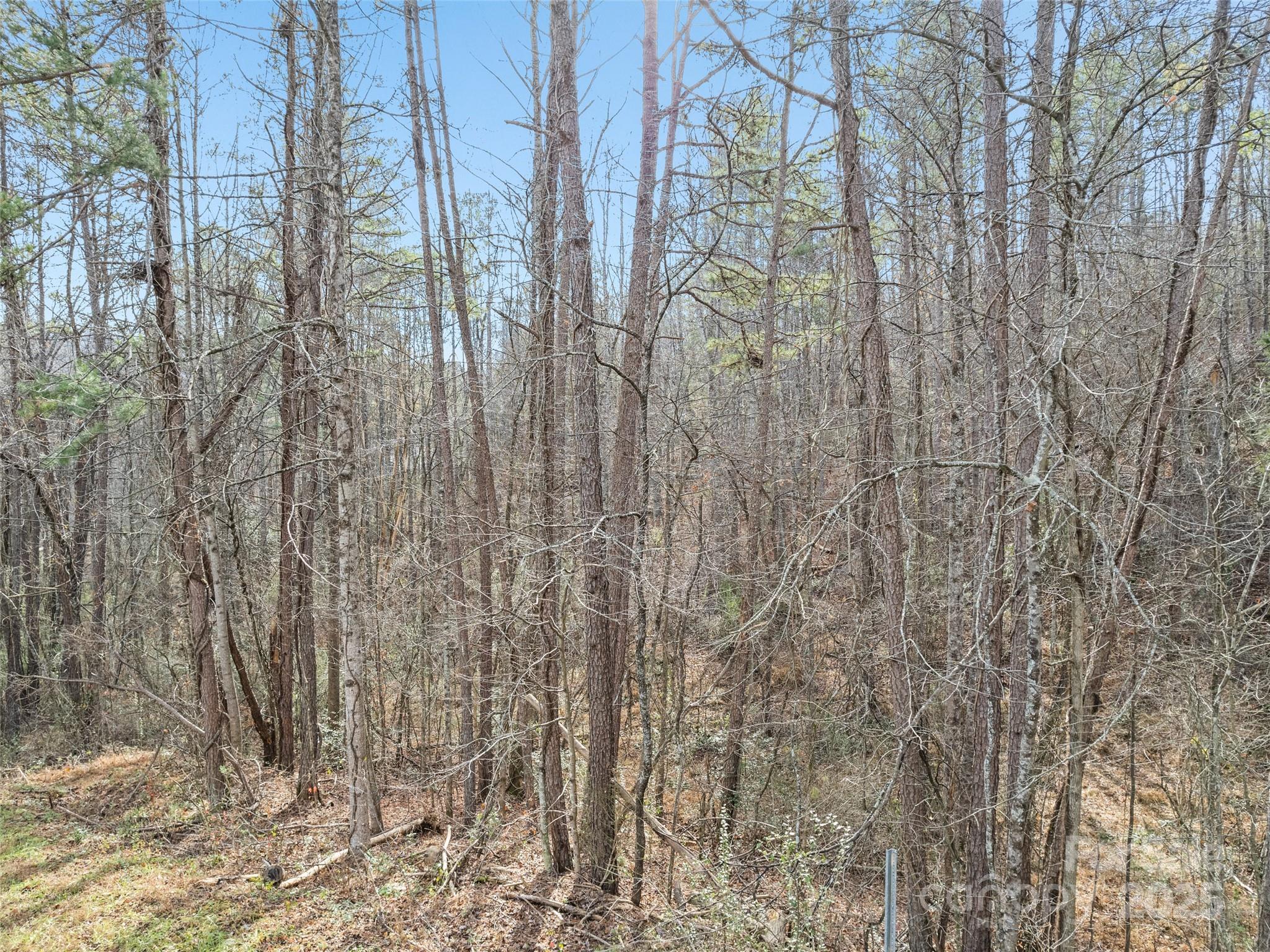 0 Lindsey Loop Road Fletcher, NC 28732 - Photo 8 of 13 Gallery Image 8
