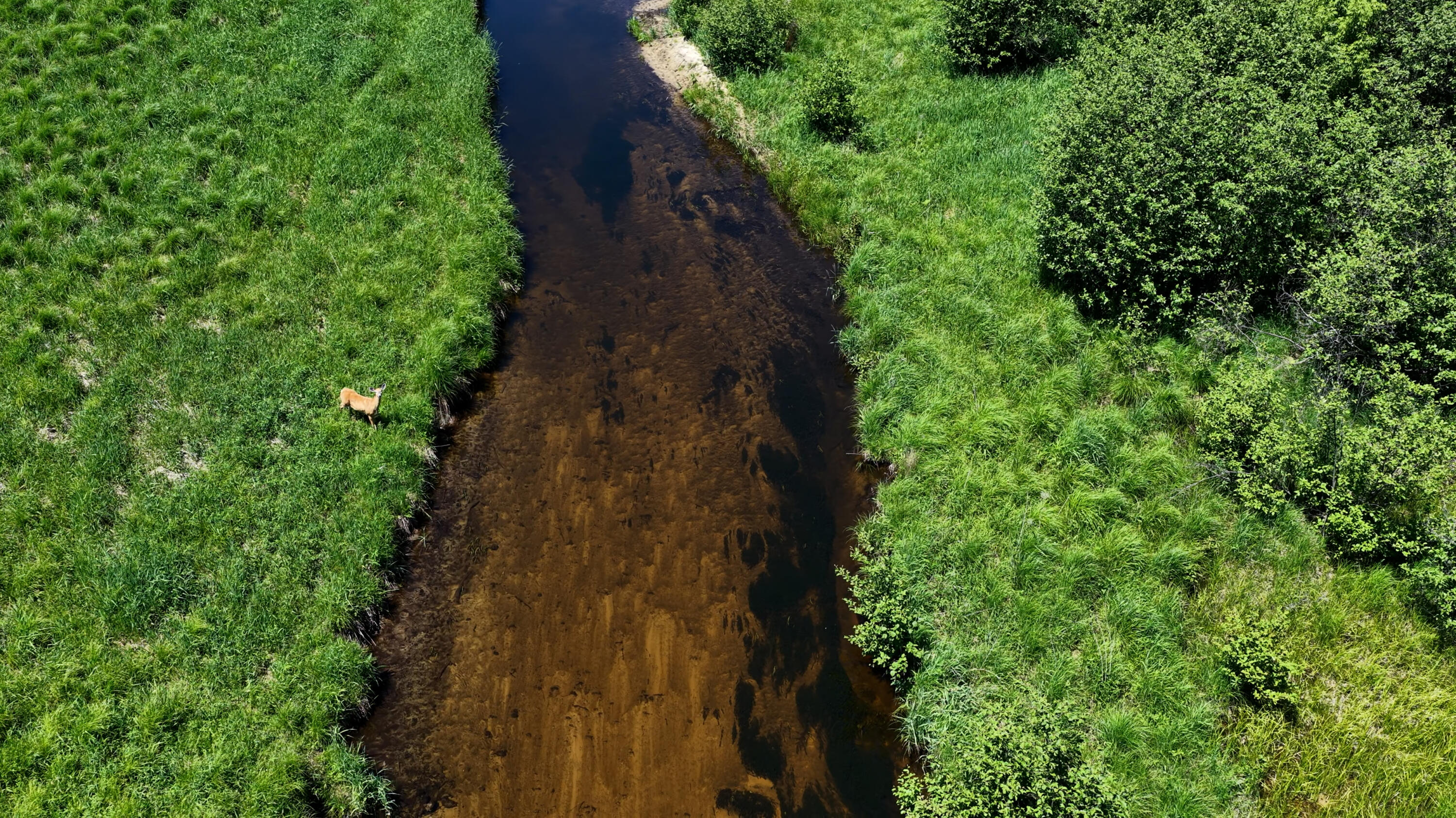 17274 Wilson Road Big Rapids, MI 49307 - Photo 43 of 51 DJI_20260608054318_0075_D.00_24_10_25.St