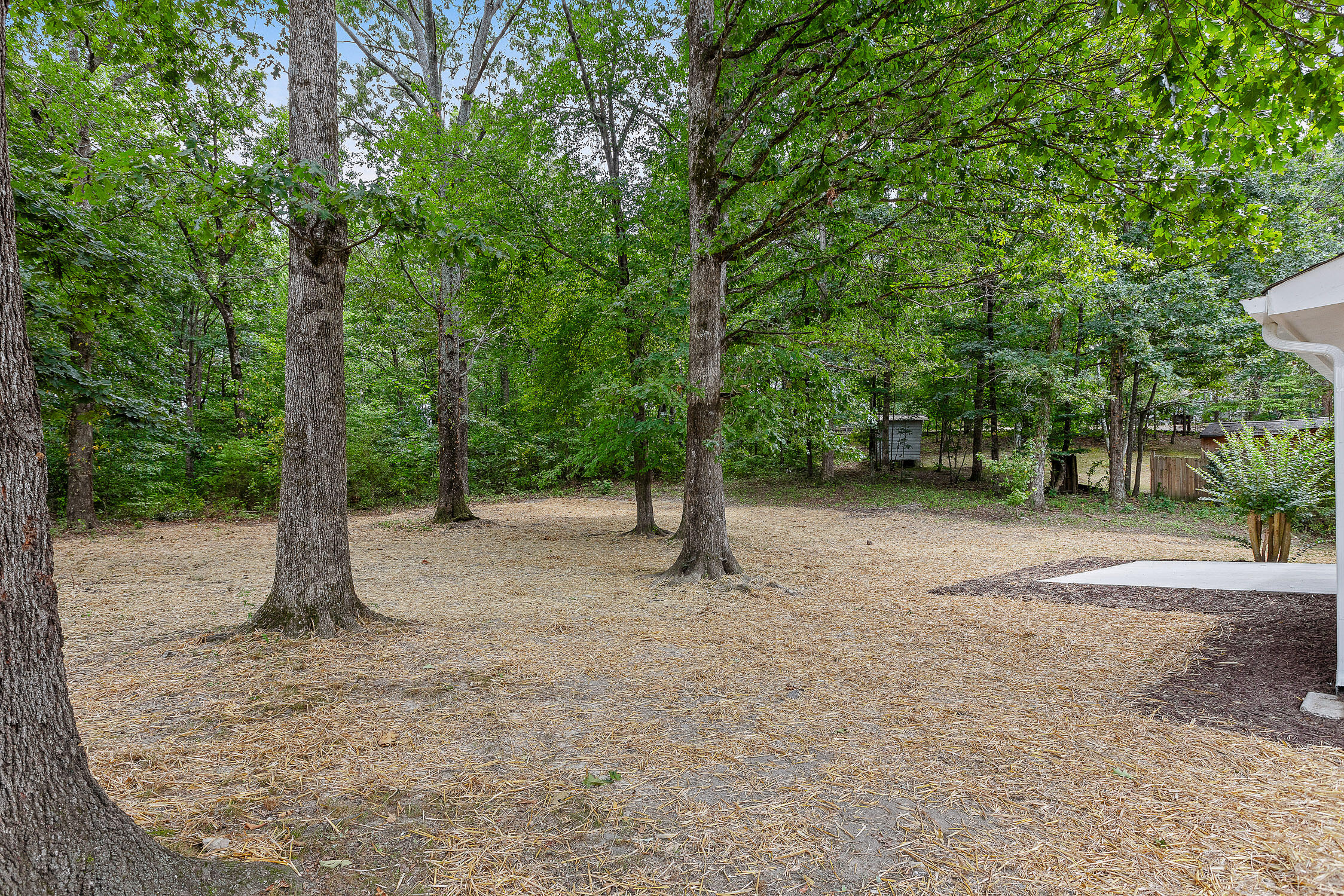 1497 Mill Wee Hollow Road Chickamauga, GA 30707 - Photo 7 of 31 1497 Mill Wee Hollow Rd-6