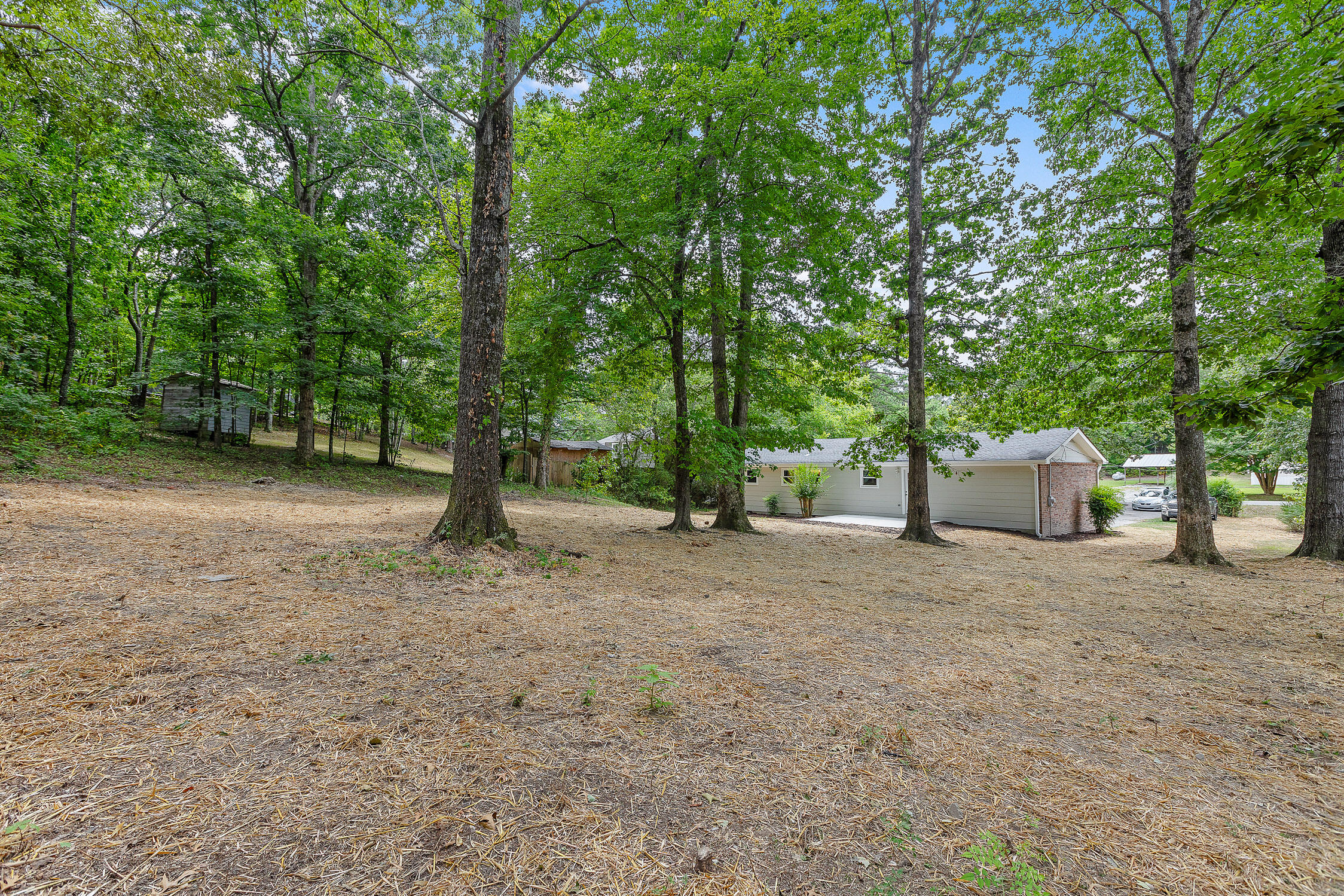 1497 Mill Wee Hollow Road Chickamauga, GA 30707 - Photo 8 of 31 1497 Mill Wee Hollow Rd-8