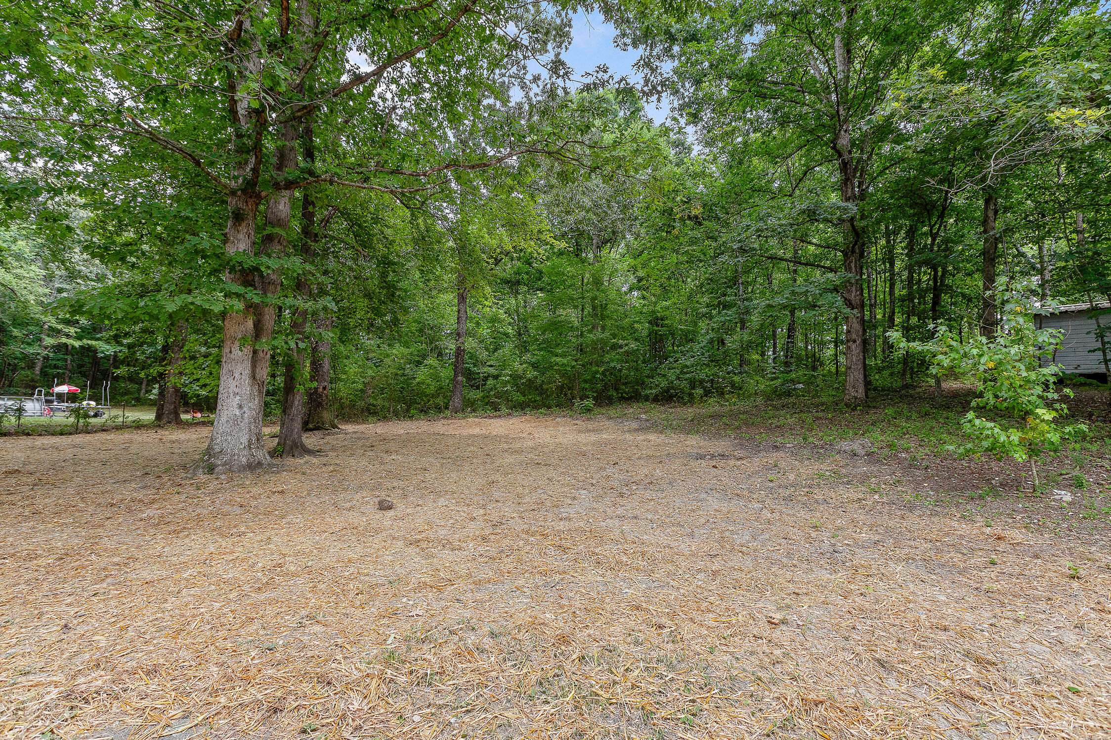 1497 Mill Wee Hollow Road Chickamauga, GA 30707 - Photo 10 of 31 1497 Mill Wee Hollow Rd-11