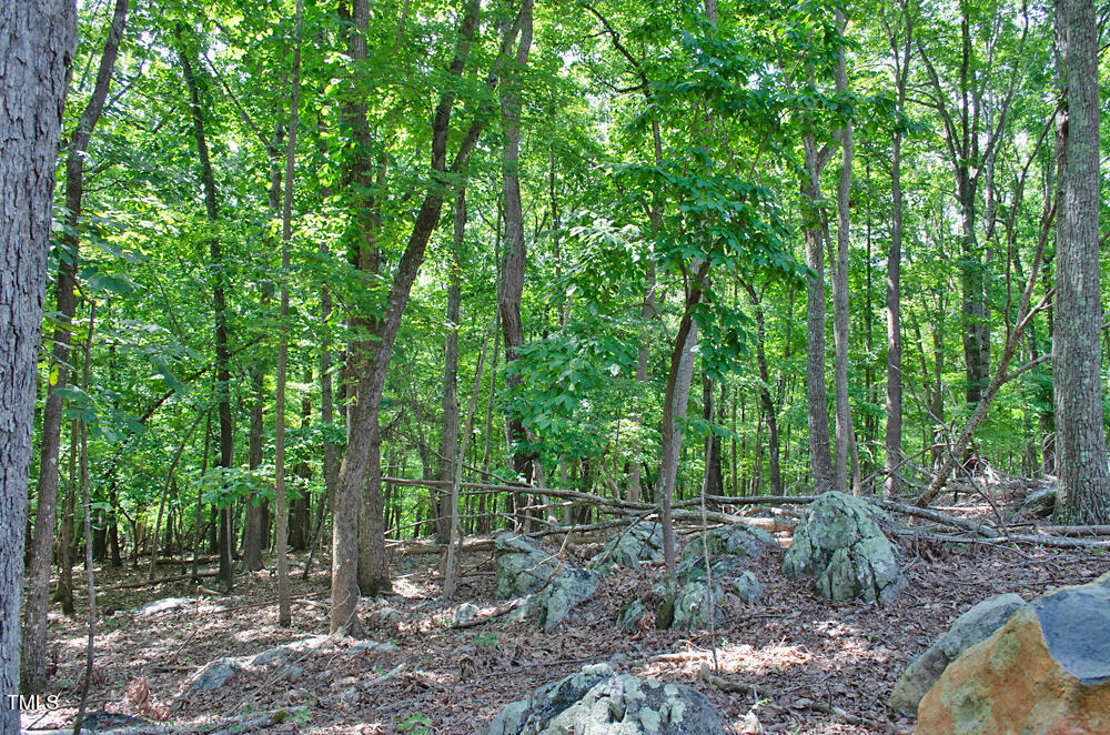 a backyard of a house with lots of trees