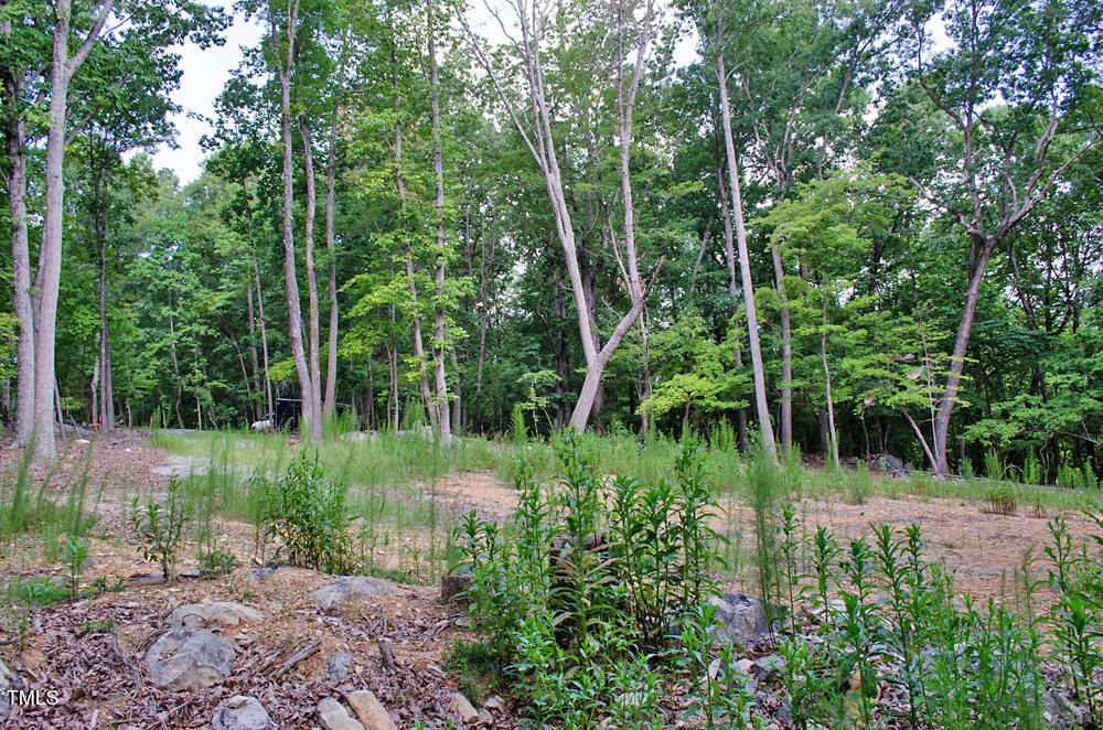148 Lookout Rdg Way Rougemont, NC 27572 - Photo 17 of 22