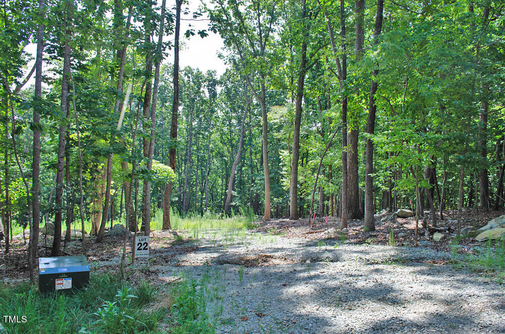 148 Lookout Rdg Way Rougemont, NC 27572 - Photo 21 of 22 a view of a tree in the middle of a forest